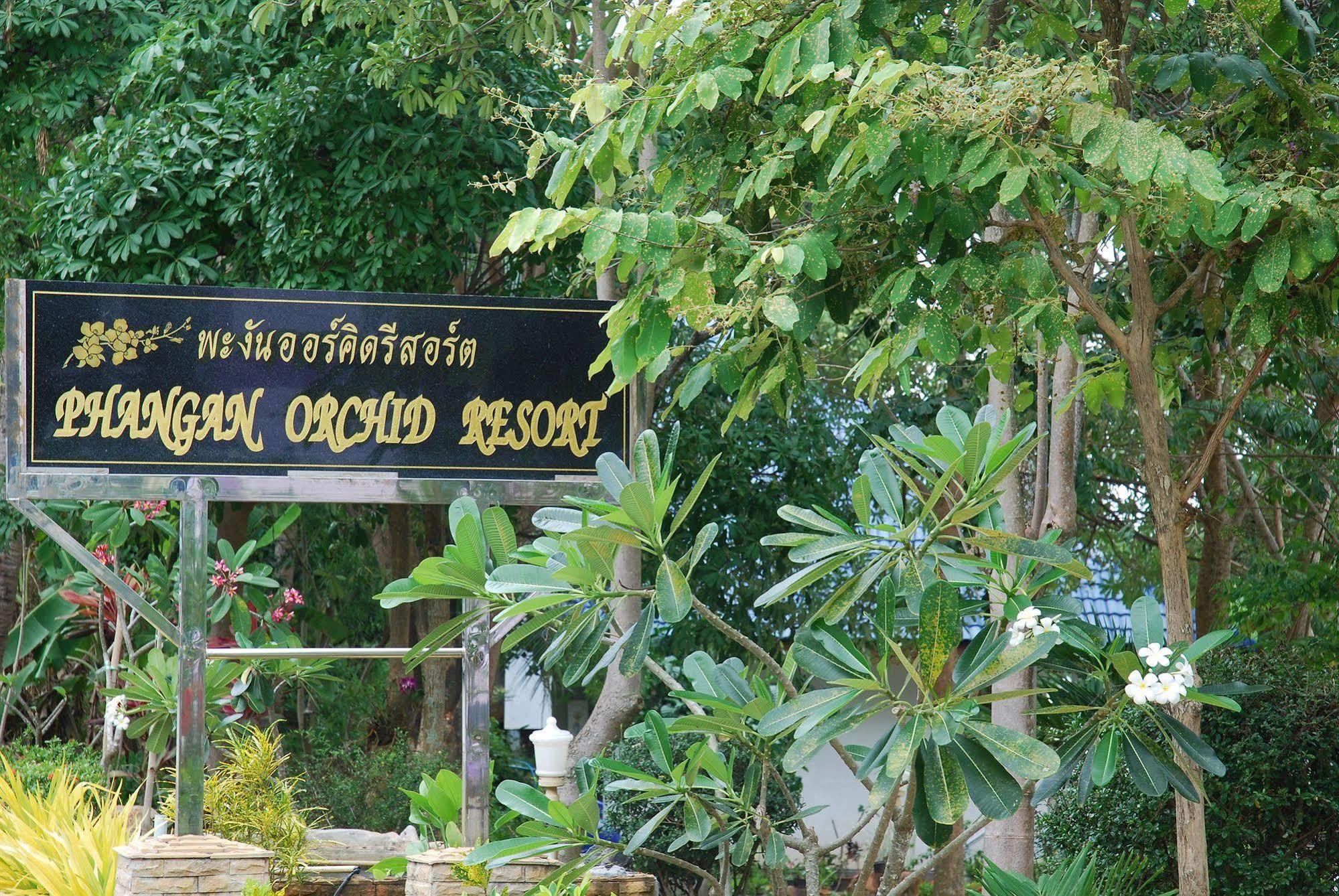 Phangan Orchid Resort Baan Tai Extérieur photo